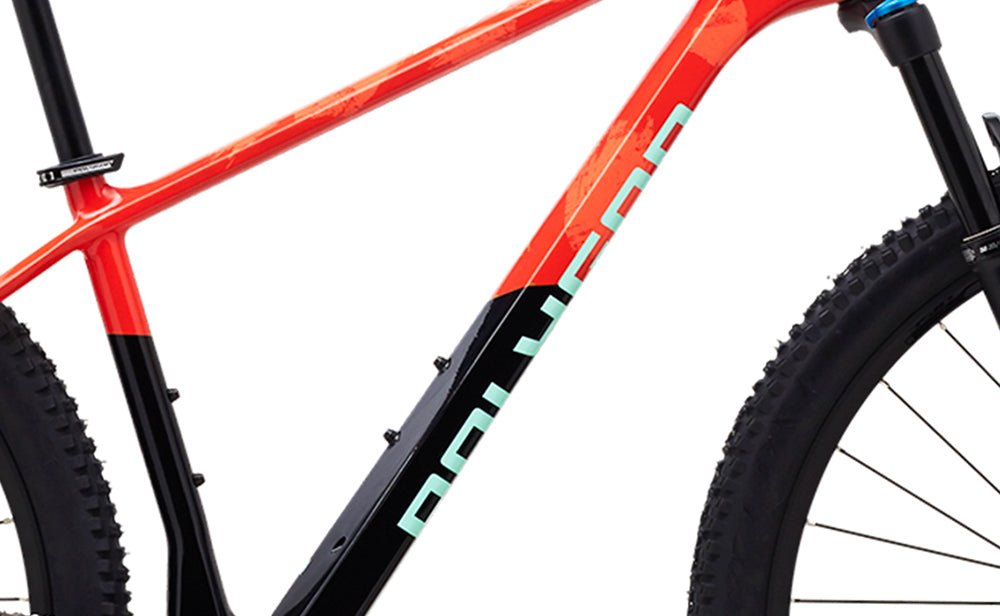 Polygon Syncline C5 - Carbon Mountain Bike