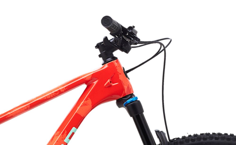 Polygon Syncline C5 - Carbon Mountain Bike