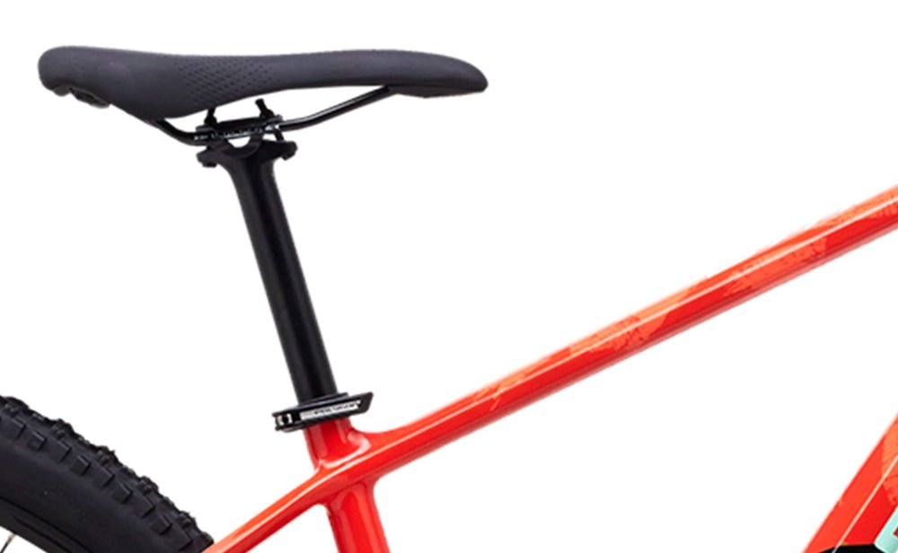 Polygon Syncline C5 - Carbon Mountain Bike