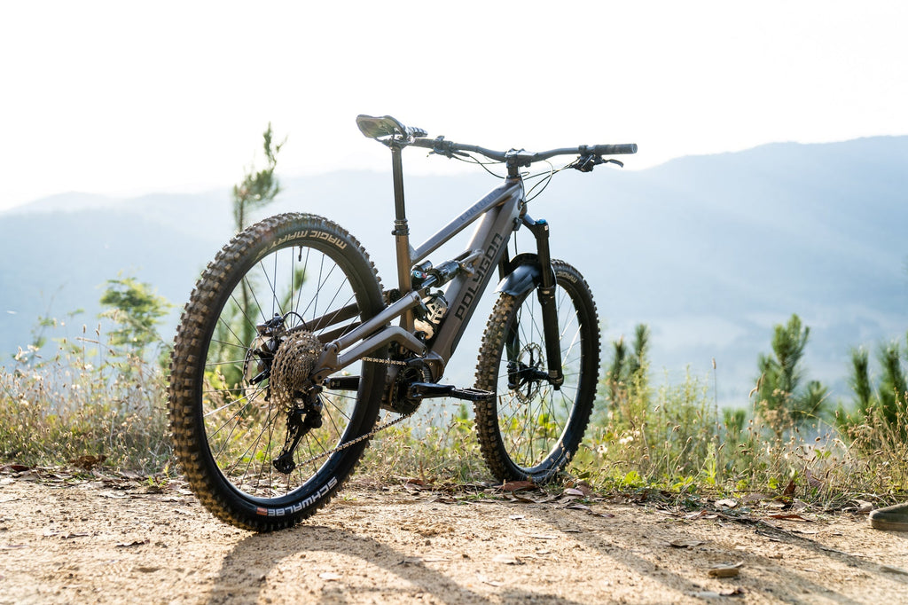 Polygon Collosus N8E - E-Mountain Bike