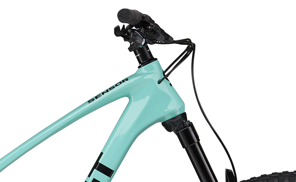 GT Sensor Carbon Pro LE 29