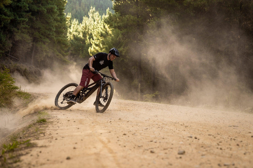 Polygon Collosus N8E - E-Mountain Bike