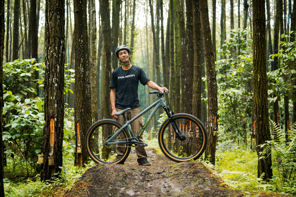 Polygon Trid - Dirt Jump Bike from bikesonline