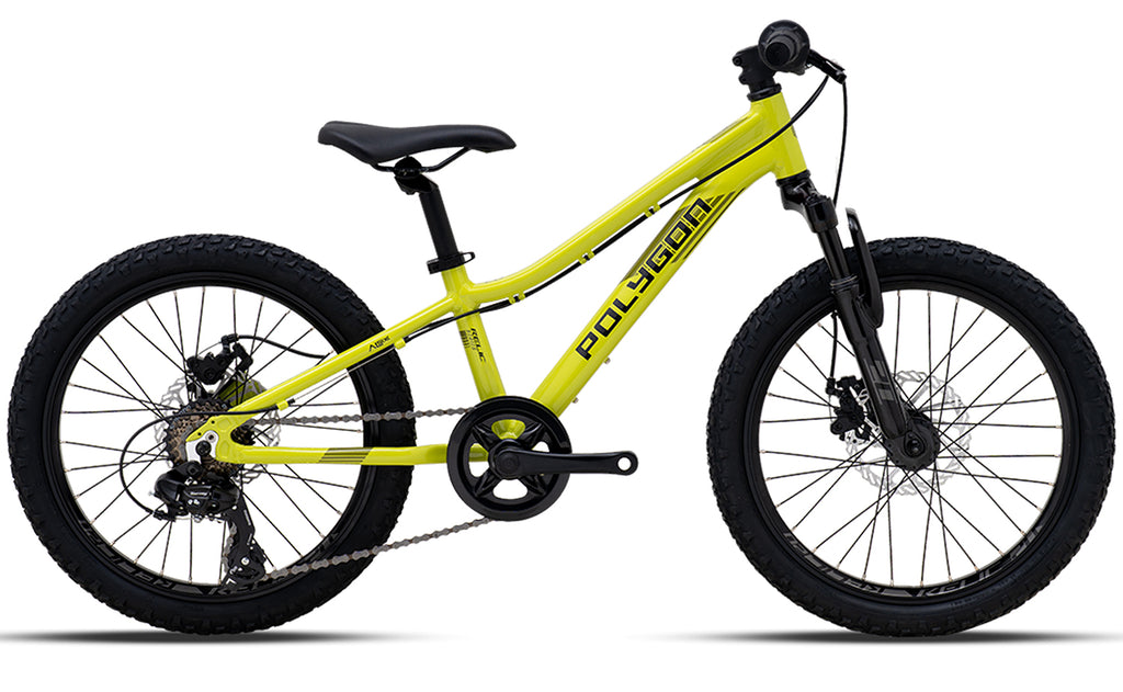 20er mountainbike Polygon Relic 20