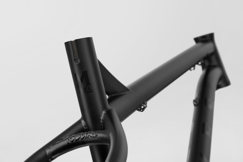 NS Bike Eccentric Cromo 29 Hardtail Frameset