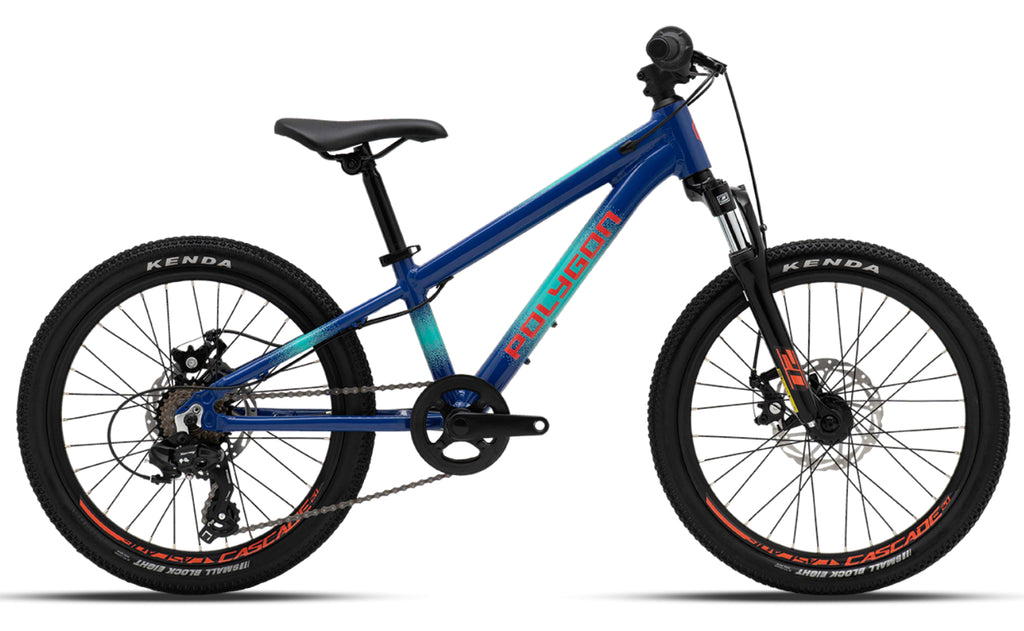 20 mountainbike Polygon Cascade Bafang DP C11 E-Bike vintage games Rack Catch Color:Signal Blue and two chainring size