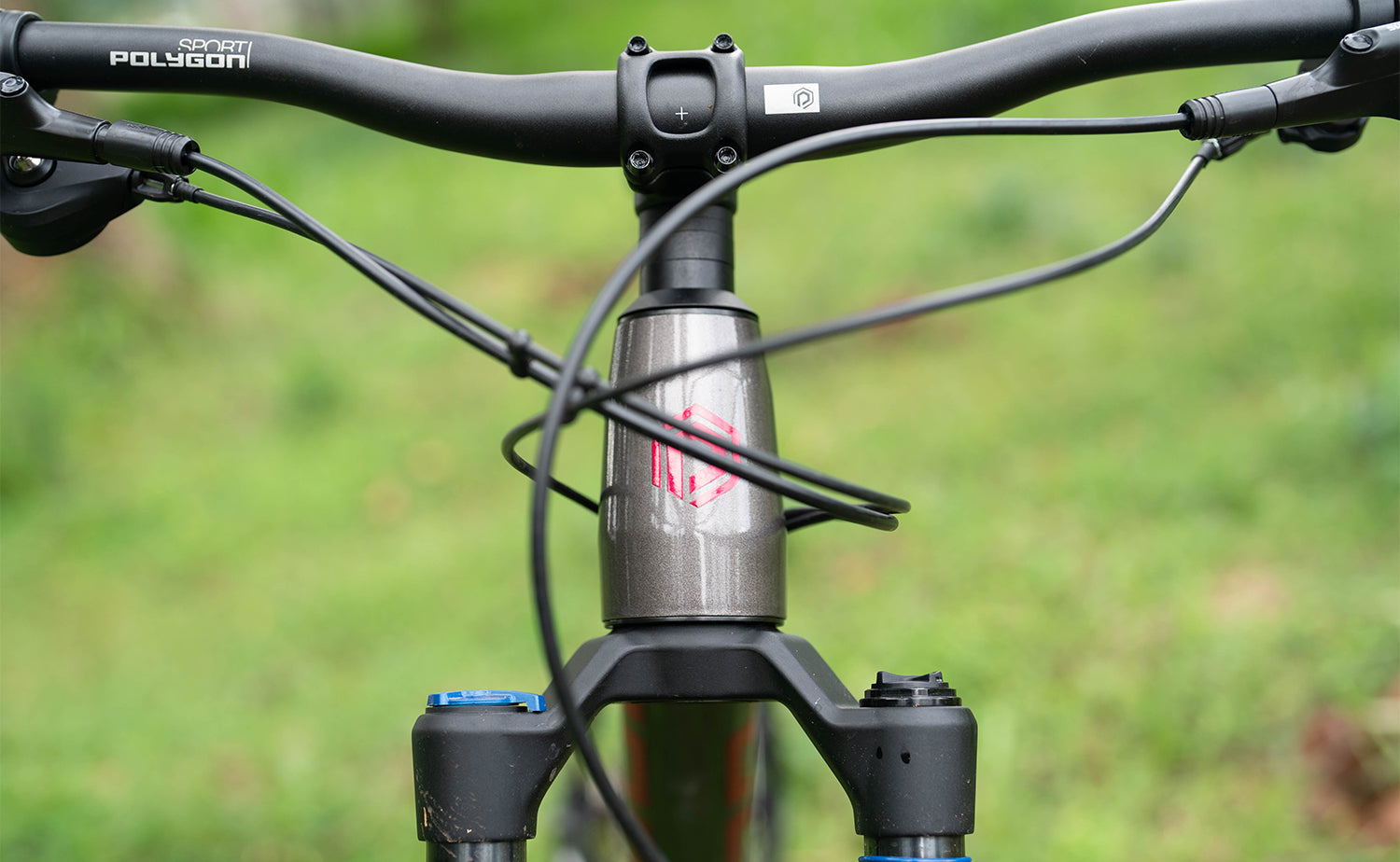 Polygon Xtrada 6 - Mountain Bike [New] | BikesOnline.com