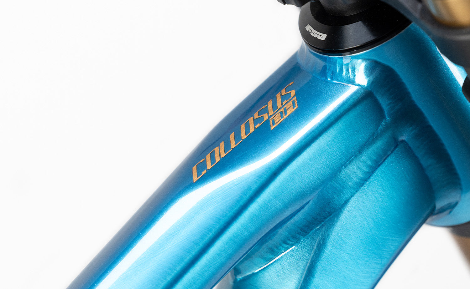 Polygon Collosus DH9 - Downhill Bike | BikesOnline.com
