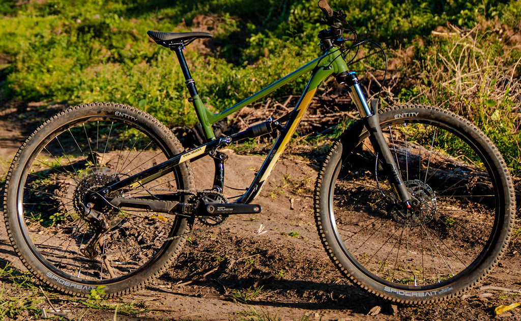 mountainbike green Polygon Siskiu D6