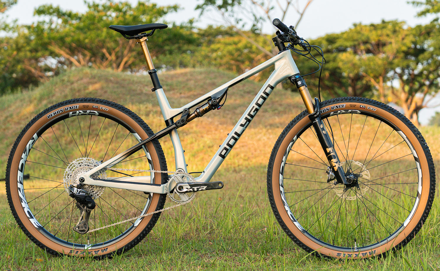 Polygon Syncline DR9 - Carbon XC Mountain | BikesOnline.com
