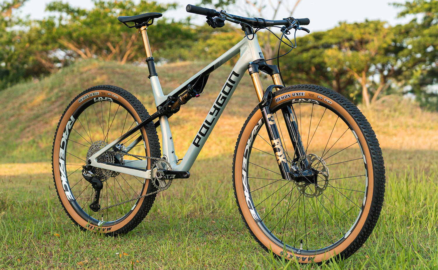 Polygon Syncline DR9 - Carbon XC Mountain | BikesOnline.com