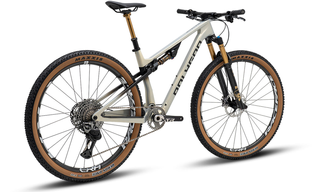 Polygon Syncline DR9 Carbon XC Mountain Bike